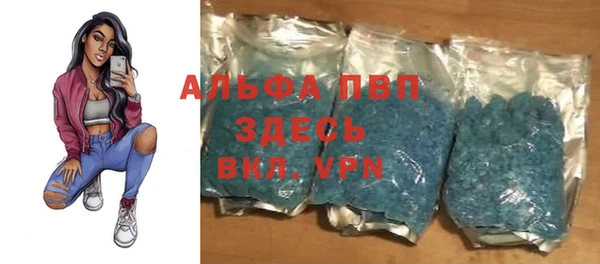 a pvp Бородино