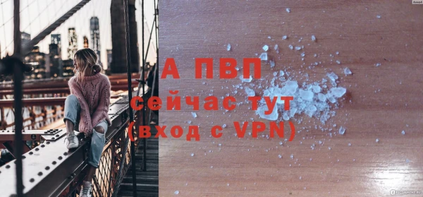 a pvp Бородино
