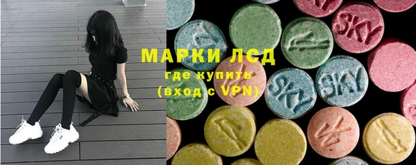 a pvp Бородино